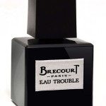 1c8_brecourt_eau_trouble.jpg