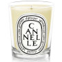 2b3_diptyque_cannelle_candle.jpg